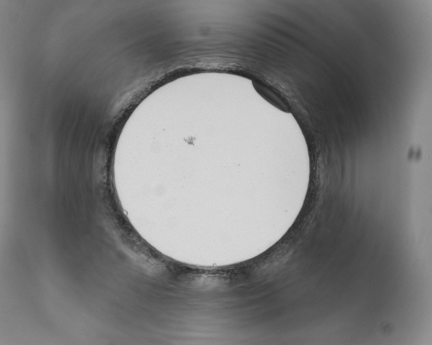 X0000111180303200908121118