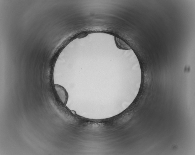 X0000111180304200908121118