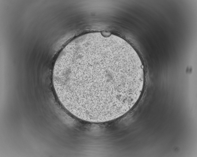 X0000111180305200908121118