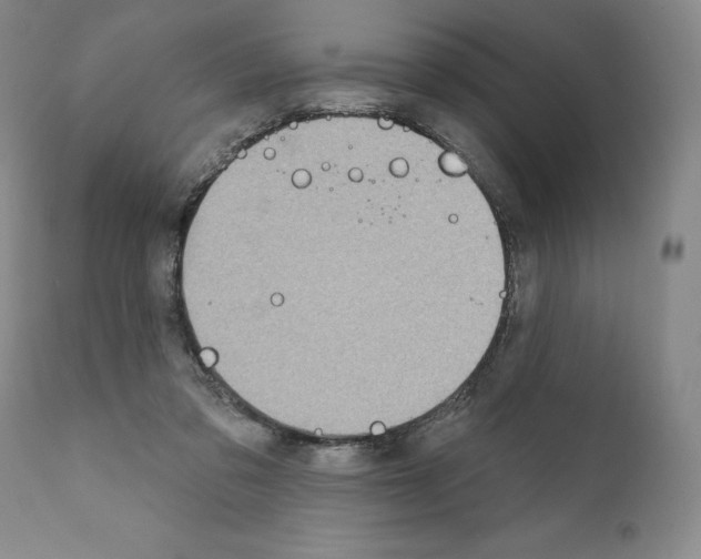 X0000111180309200908121118