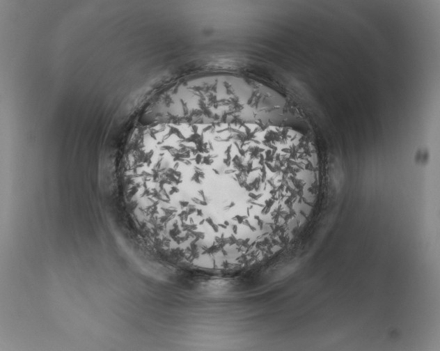 X0000111180312200908121118