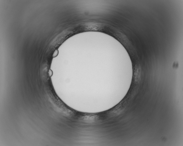 X0000111180314200908121118