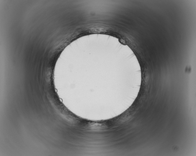 X0000111180315200908121118