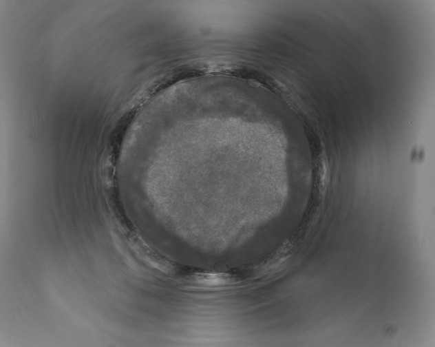 X0000111180316200908121118