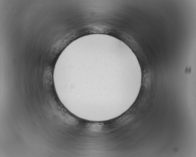 X0000111180318200908121118