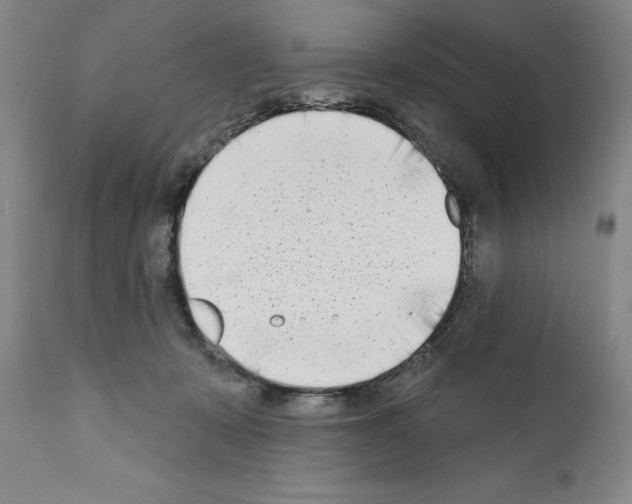 X0000111180319200908121118