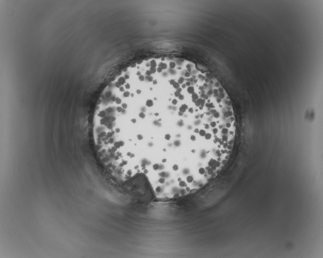 X0000111180320200908121118