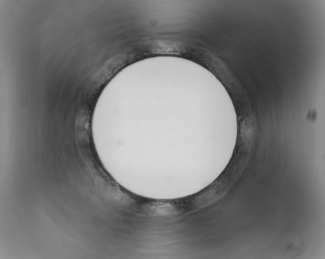 X0000111180322200908121118