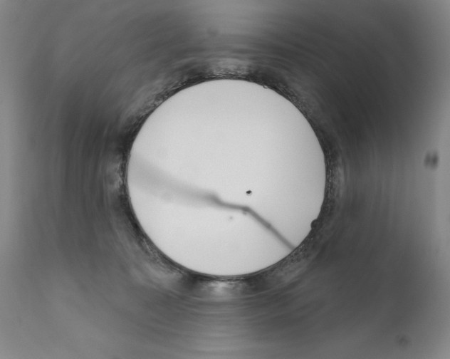 X0000111180323200908121118