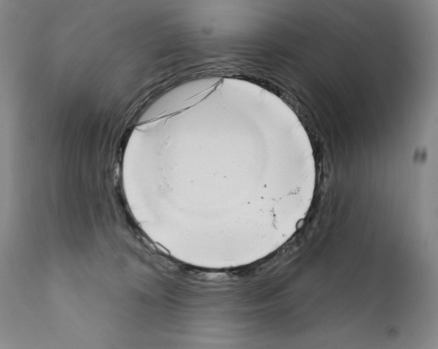 X0000111180324200908121118