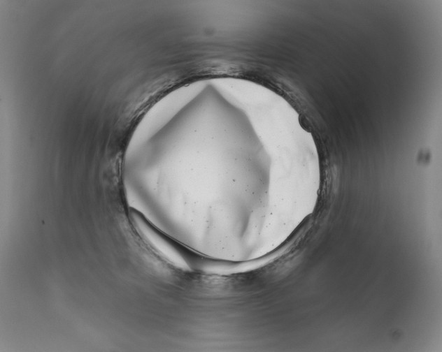 X0000111180325200908121118