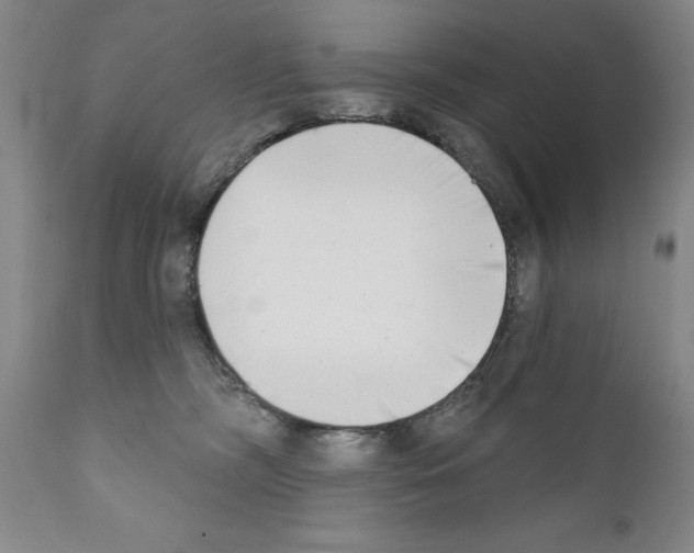 X0000111180326200908121118