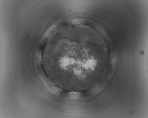 X0000111180328200908121118