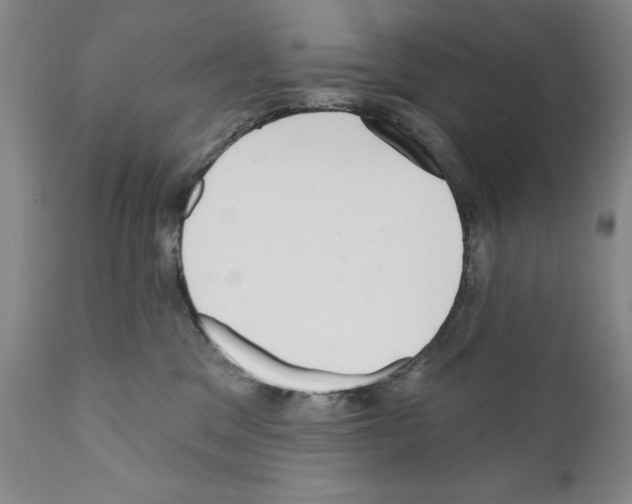 X0000111180329200908121118