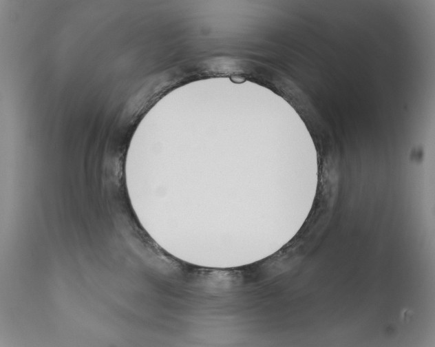 X0000111180330200908121118