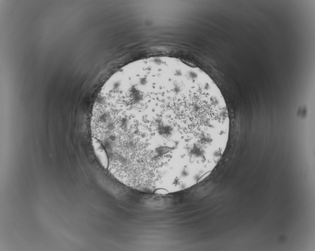 X0000111180331200908121118