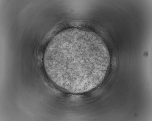 X0000111180332200908121118