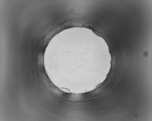 X0000111180335200908121118