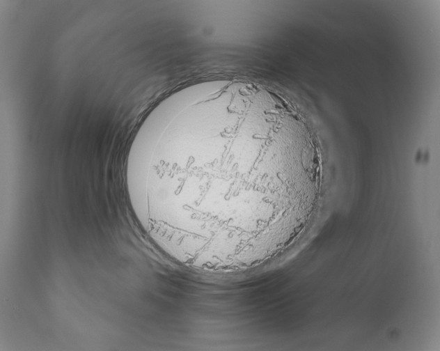 X0000111180336200908121118