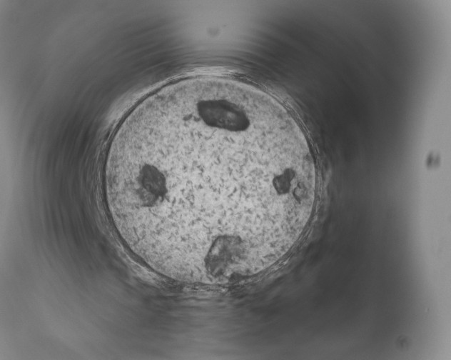 X0000111180337200908121117