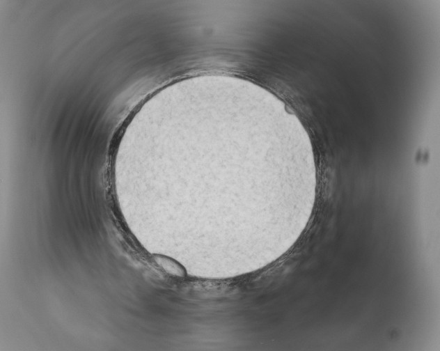 X0000111180338200908121117