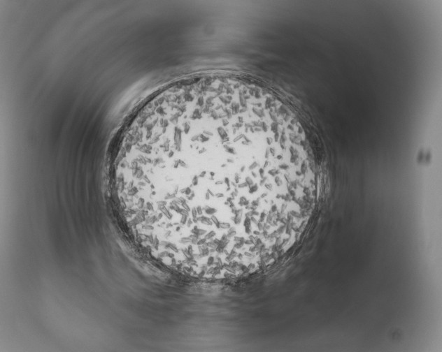 X0000111180339200908121117