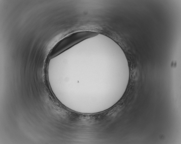 X0000111180340200908121117