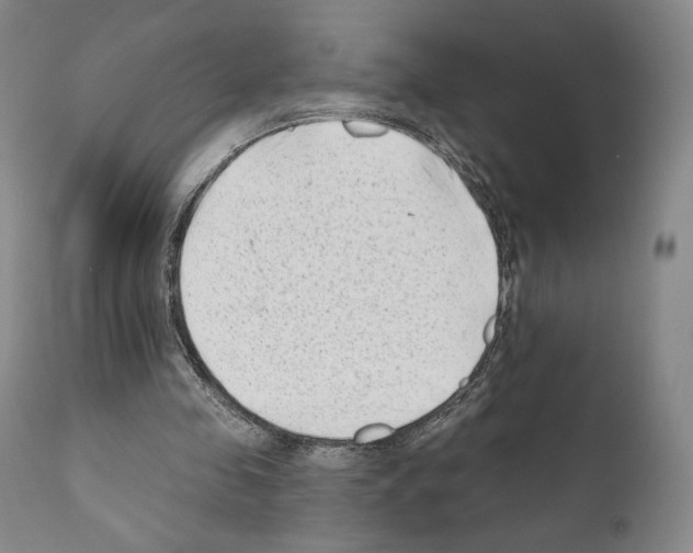 X0000111180341200908121117