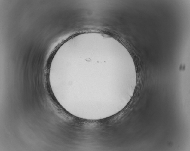 X0000111180342200908121117