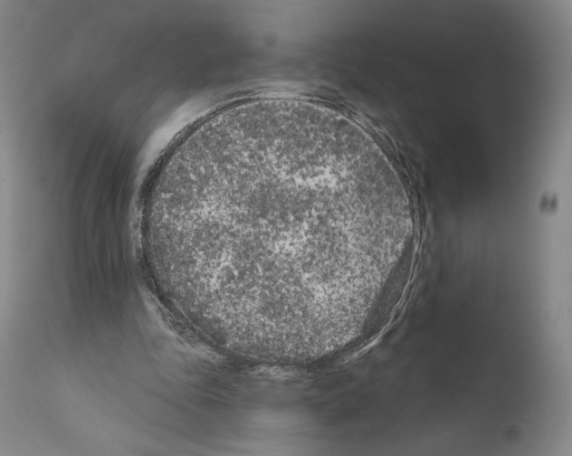 X0000111180343200908121117