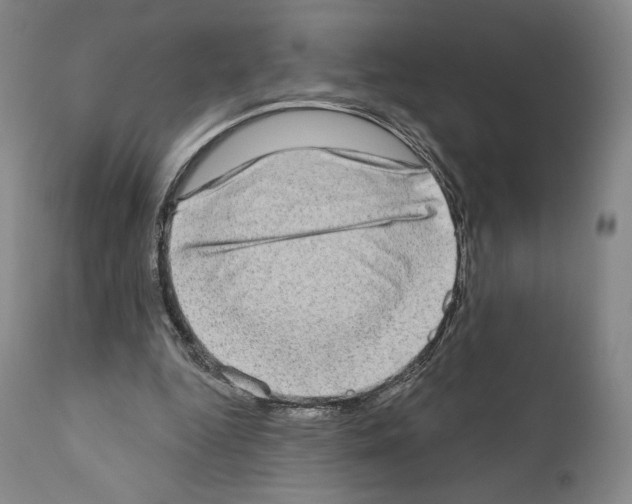 X0000111180344200908121117