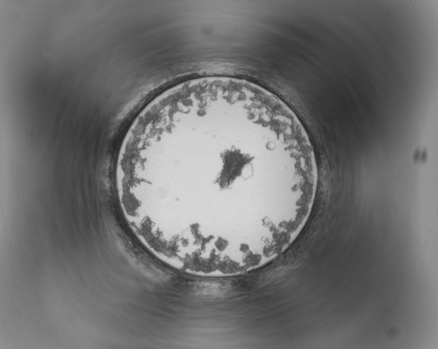 X0000111180347200908121117