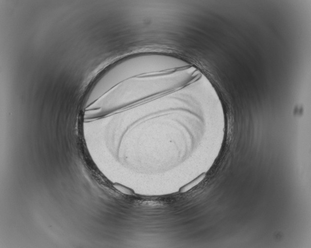 X0000111180348200908121117