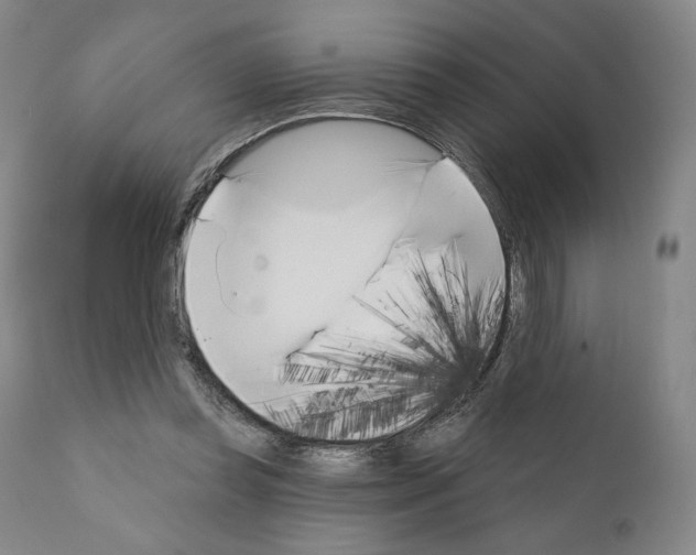 X0000111180349200908121117