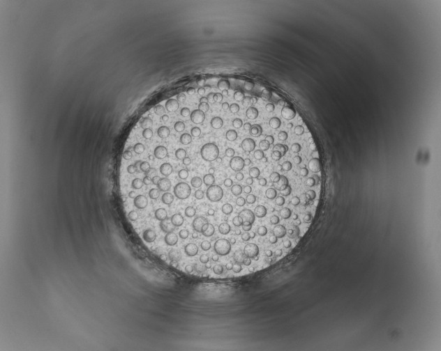 X0000111180354200908121117