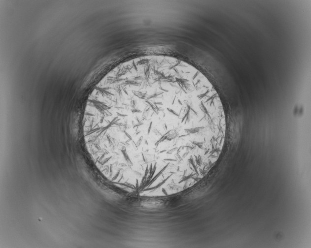 X0000111180357200908121117