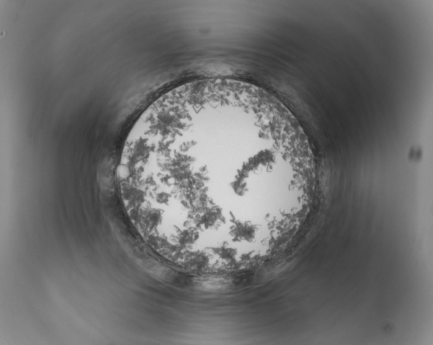 X0000111180359200908121117