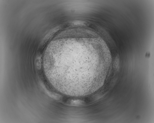 X0000111180360200908121117