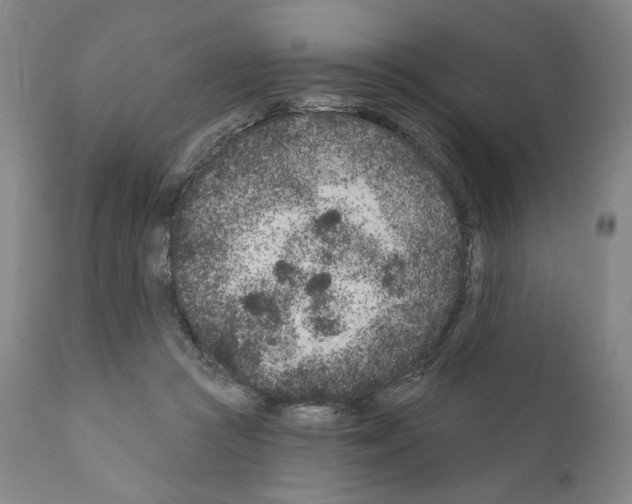 X0000111180361200908121117