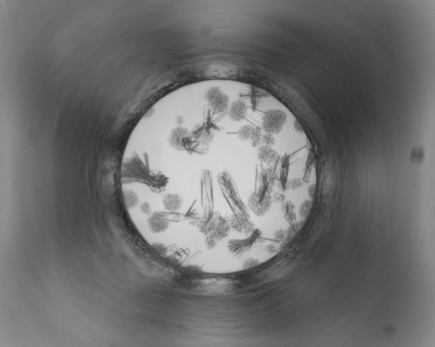 X0000111180363200908121117