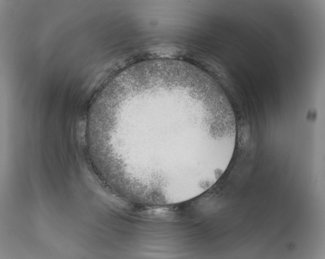 X0000111180365200908121117