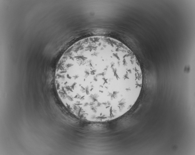 X0000111180367200908121117