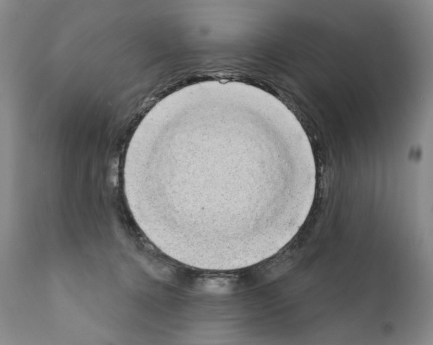 X0000111180368200908121117