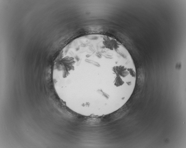 X0000111180369200908121117