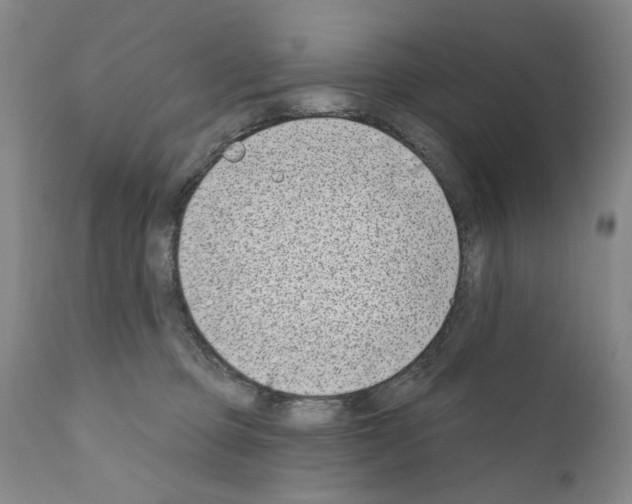 X0000111180373200908121117