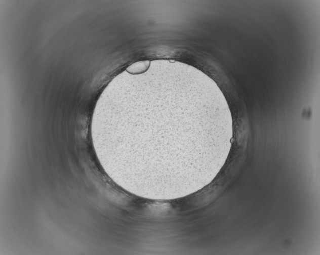 X0000111180374200908121117