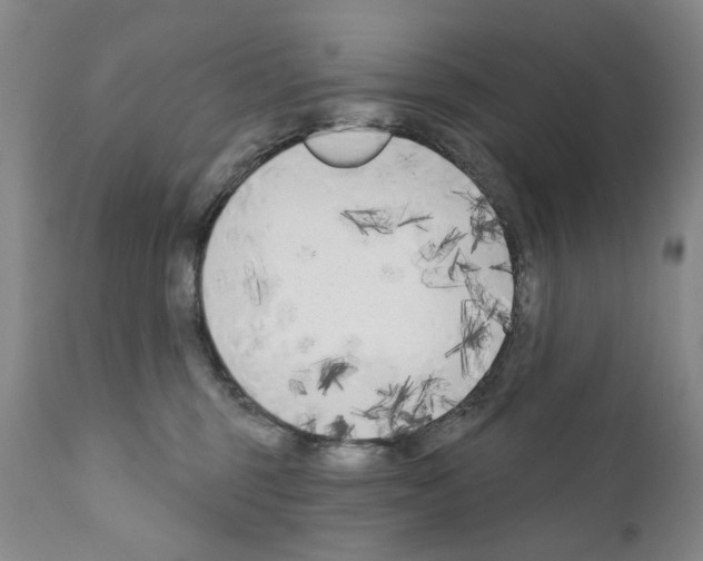 X0000111180375200908121117