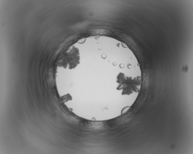 X0000111180377200908121117