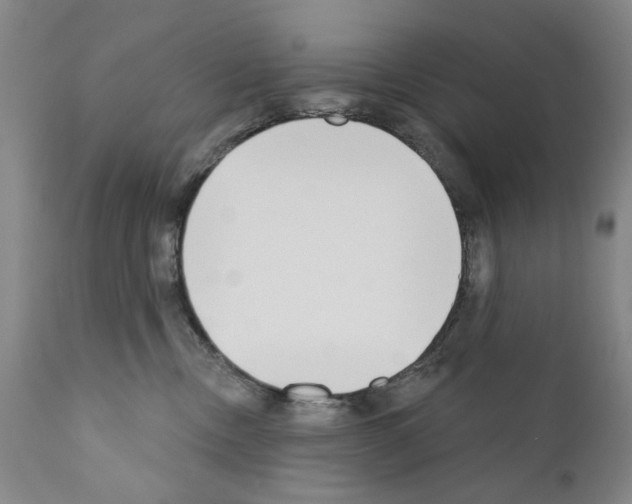 X0000111180378200908121117