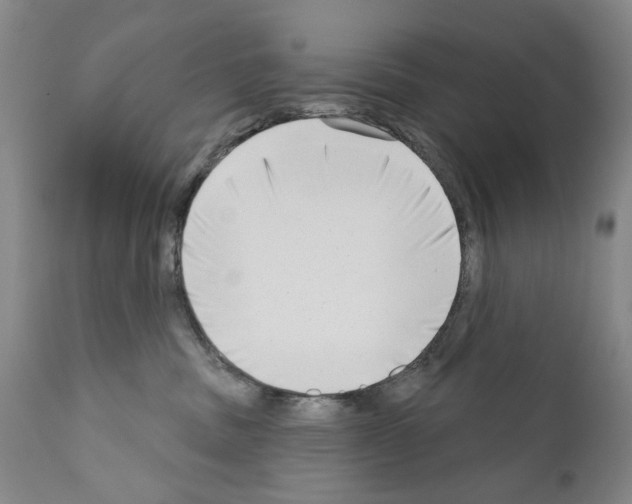 X0000111180379200908121118